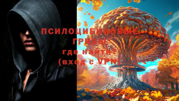 ALPHA PVP Алексеевка