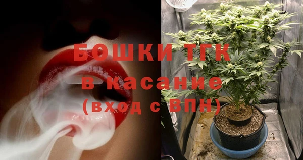 ГАЛЛЮЦИНОГЕННЫЕ ГРИБЫ Алзамай