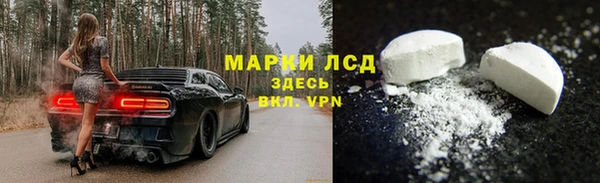 ГАЛЛЮЦИНОГЕННЫЕ ГРИБЫ Алзамай