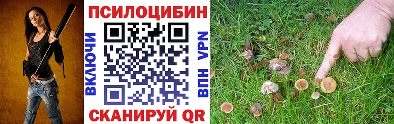 ссылка на мегу онион  площадка какой сайт  Галлюциногенные грибы MAGIC MUSHROOMS  Нея 